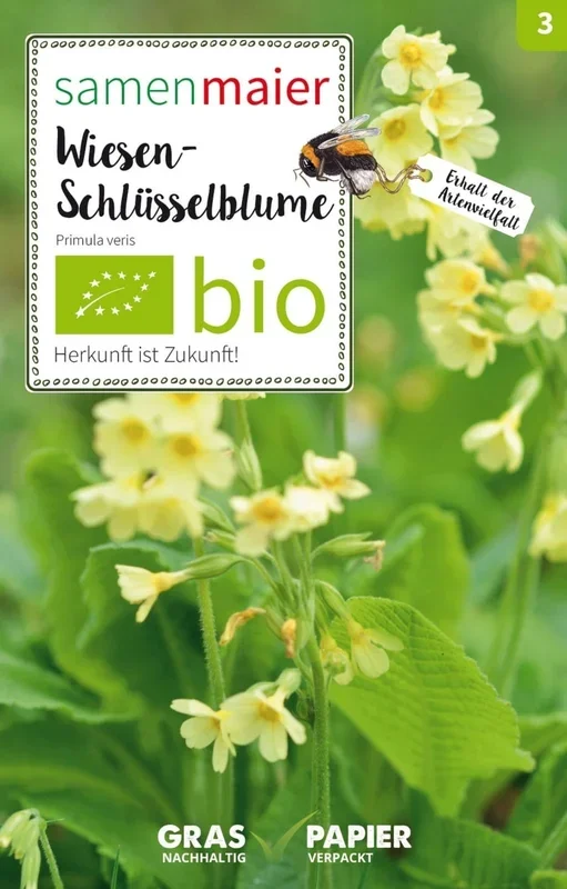 Samen Maier Bio Wildblume Wiesen-Schlüsselblume