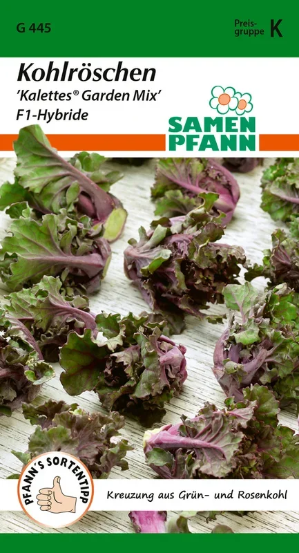 Samen Pfann Kohlröschen Kalettes® Garden Mix