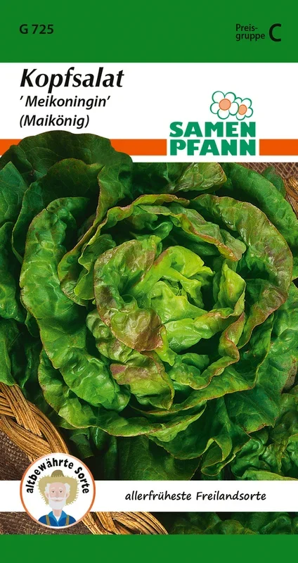 Samen Pfann Kopfsalat Meikoningin (Maikönig)
