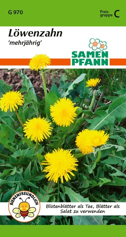 Samen Pfann Löwenzahn Mehrjährig