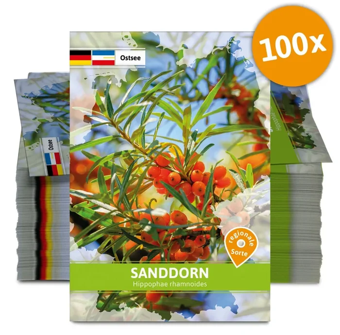 Sanddorn (Regionale Sorte Ostsee) (100 Tütchen)
