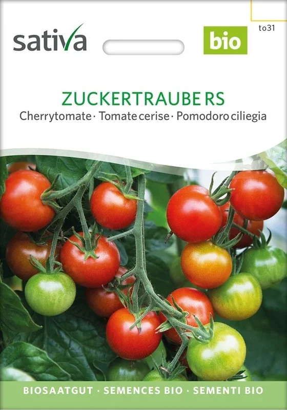 Sativa Bio Cherrytomate, Zuckertraube