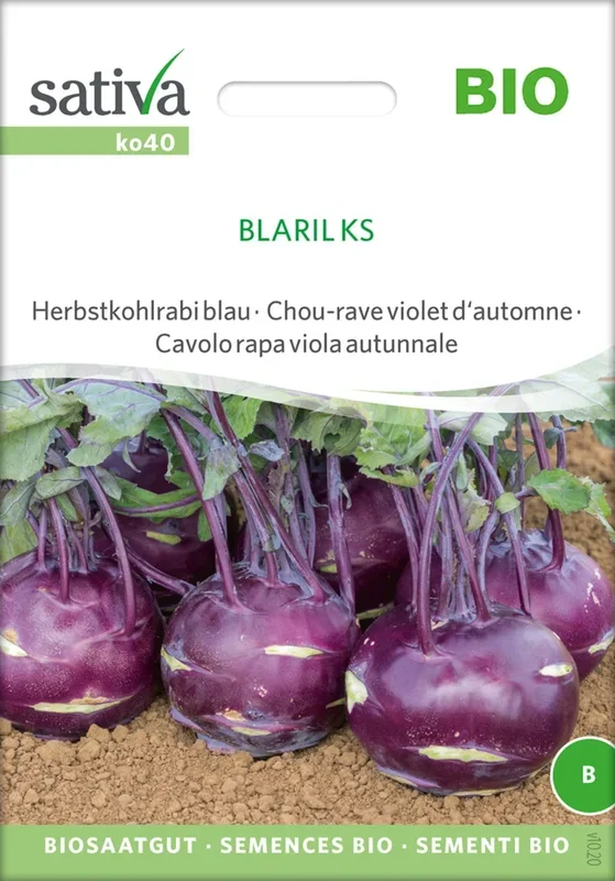 Sativa Bio Herbstkohlrabi blau „Blaril Ks“