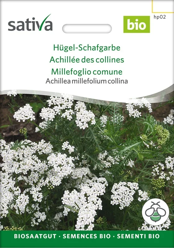 Sativa Bio Hügel-Schafgarbe