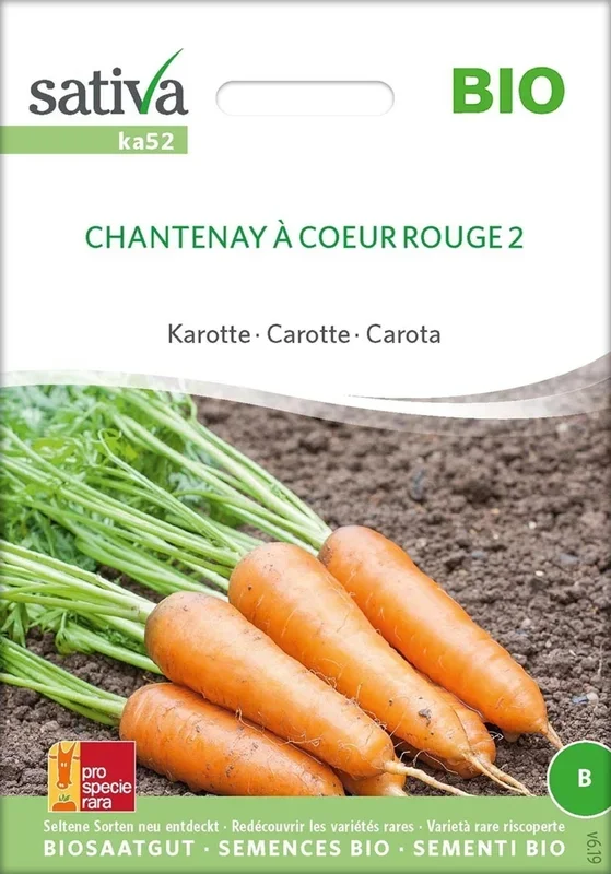 Sativa Bio Karotte „Chantenay à coeur rouge 2“