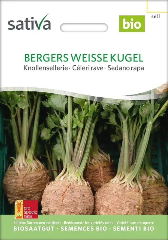 Sativa Bio Knollensellerie, Bergers Weisse Kugel