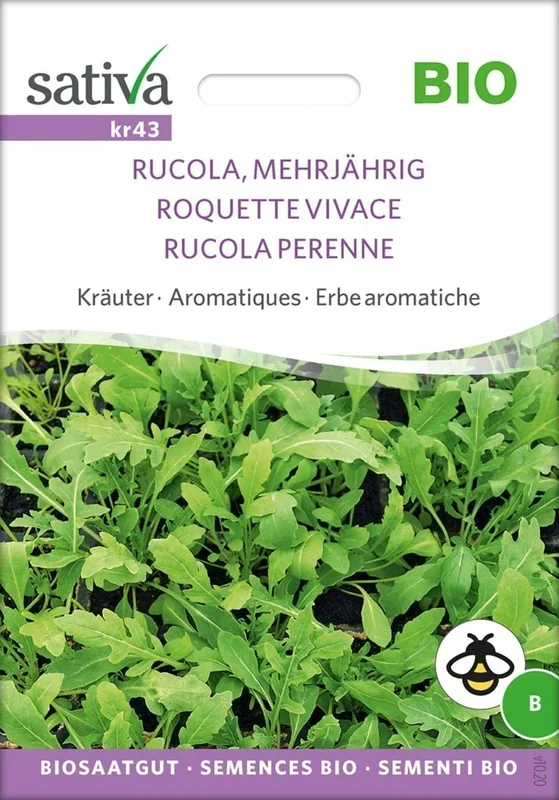 Sativa Bio Kräuter „Rucola, Mehrjährig“