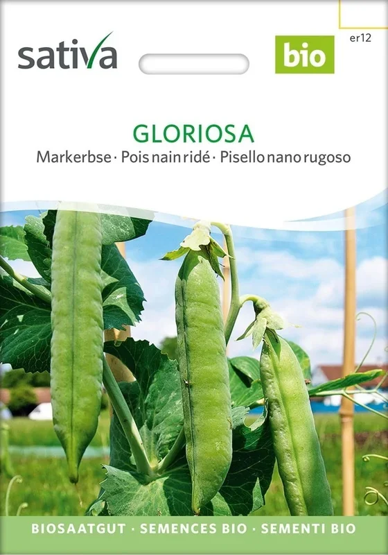 Sativa Bio Markerbse, Gloriosa