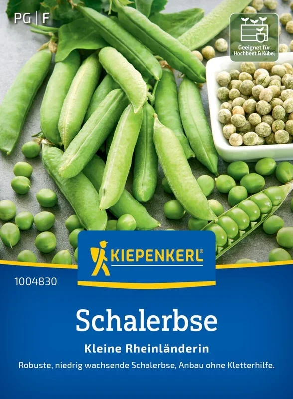 Schalerbse Kleine Rheinländerin, robuste niedrig wachsende Schalerbse Anbau ohne Kletterhilfe