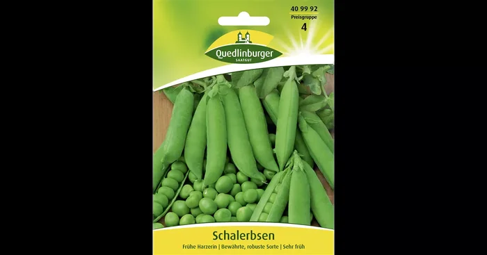 Schalerbsensamen ‚Frühe Harzerin‘