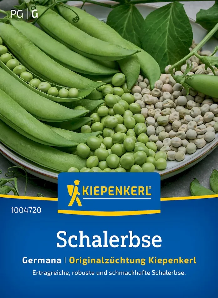 Schalerbsensamen Germana