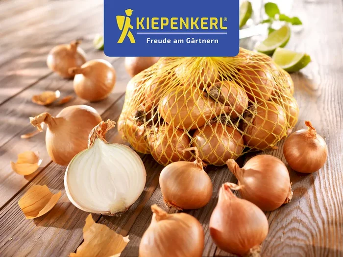 Schalotten Golden Gourmet
