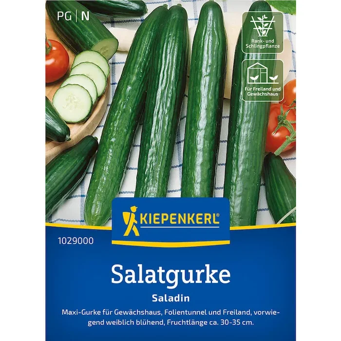 Schlangengurke ‚Saladin‘ – F1 Bestellnummer 9937544