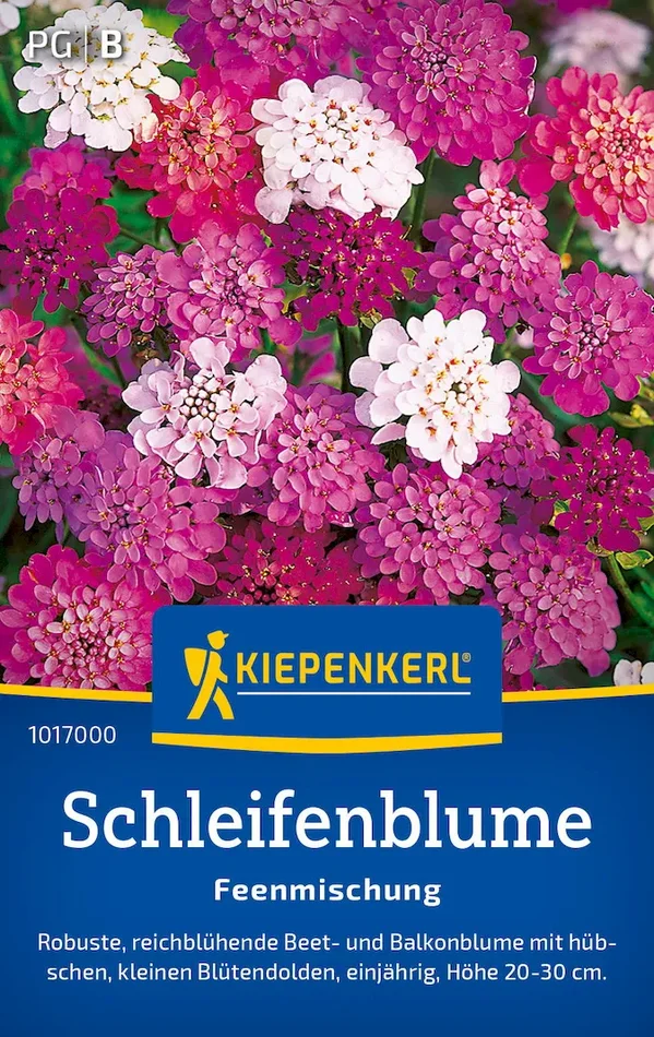 Schleifenblumesamen Feenmischung