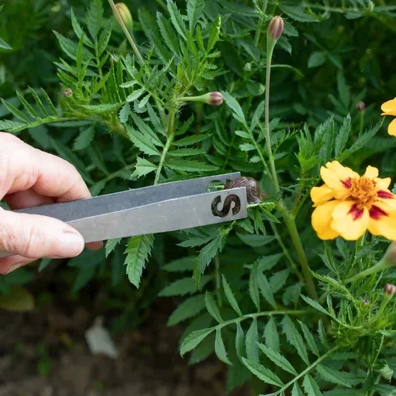 Schneckengreifer Chromstahl 29 cm