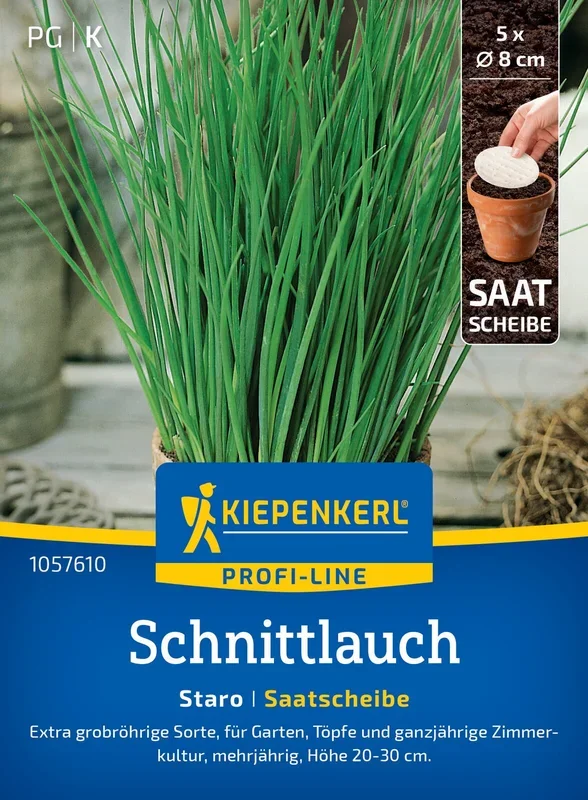 Schnittlauch Staro (Saatscheibe)