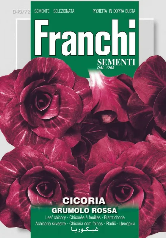 Schnittzichorie Rossa Di Verona Tardiva