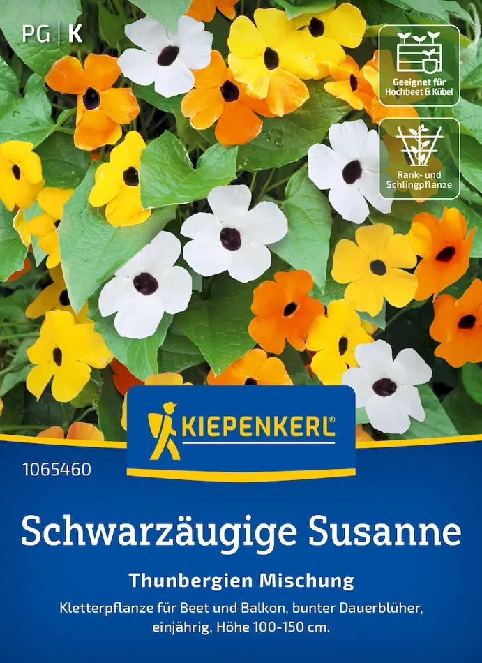 Schwarzäugige Susanne-Samen Thunbergien Mischung