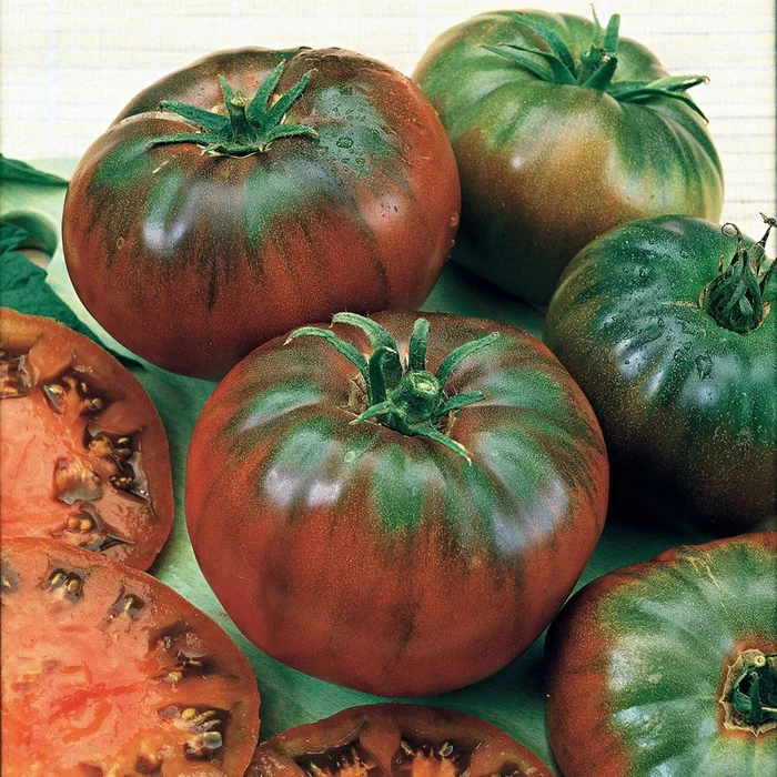 Schwarze Fleischtomate ‚Noire Russe‘
