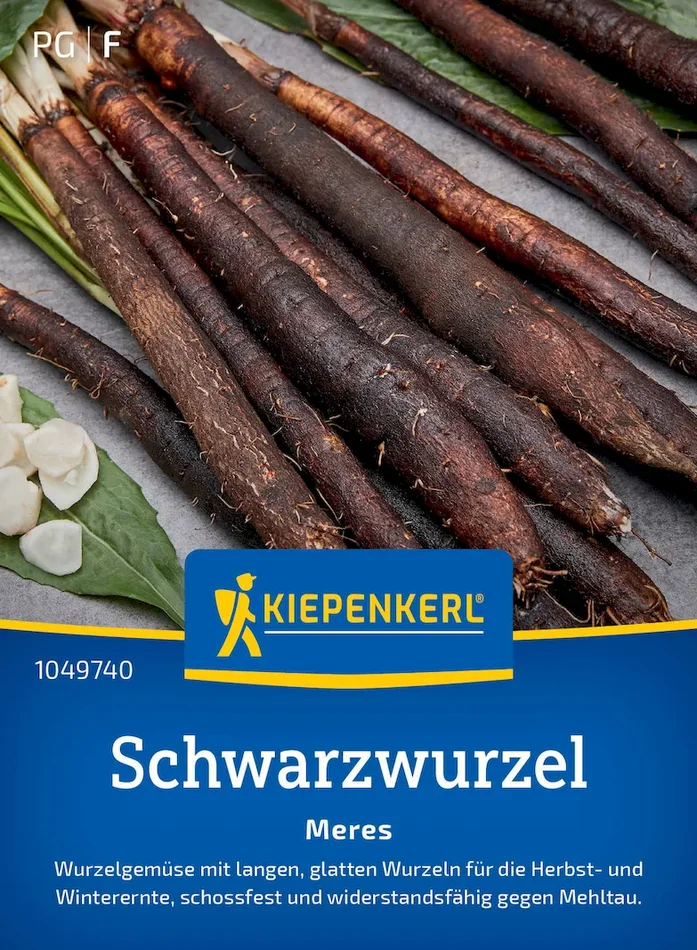 Schwarzwurzelsamen Meres