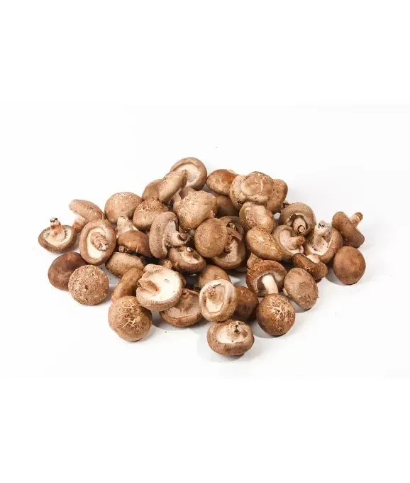 Shiitake Fertigkultur