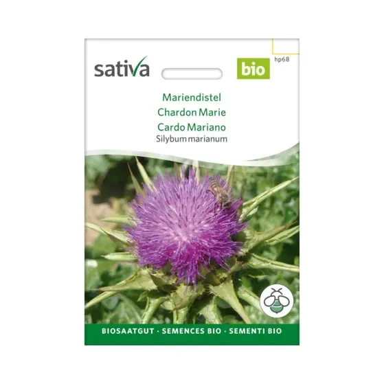 Sibyllum marianum Mariendistel Biosamen hp68