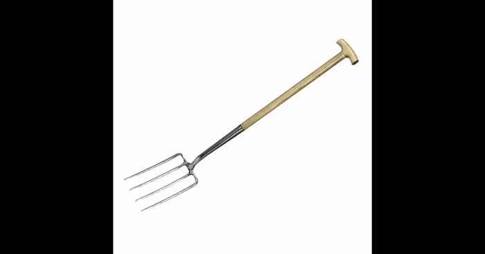 Siena Garden Edelstahl-Spatengabel CARAT mit T-Stiel 29x18cm