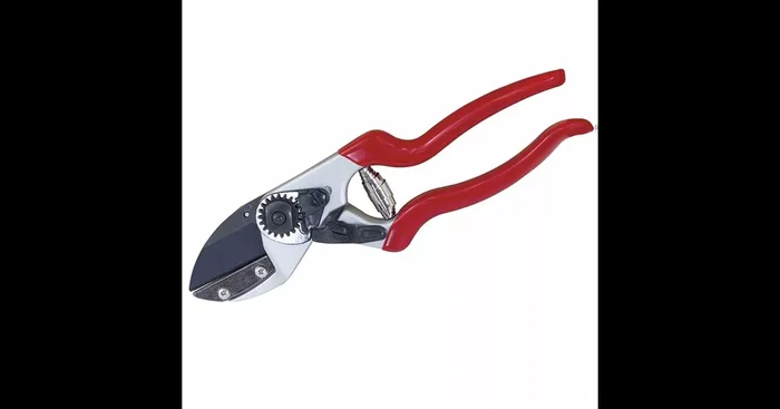 Siena Garden Premium Gartenschere CG1090