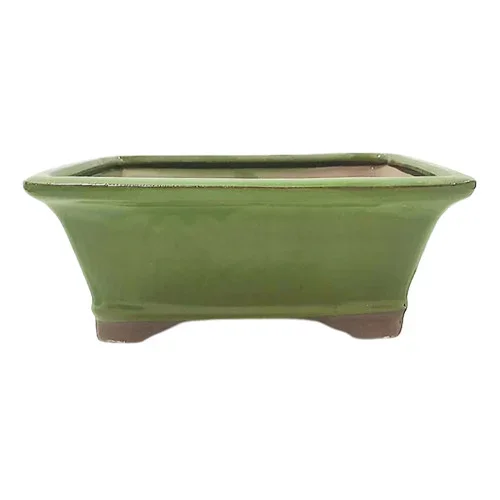 Small Serpent Green Rectangle Pot – CGG93-6STG