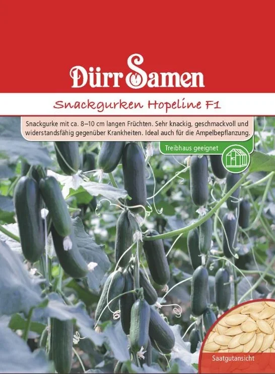 Snackgurken Hopeline F1 (Treibgurke/ Hausgurke), knackig geschmackvoll und widerstandsfähig