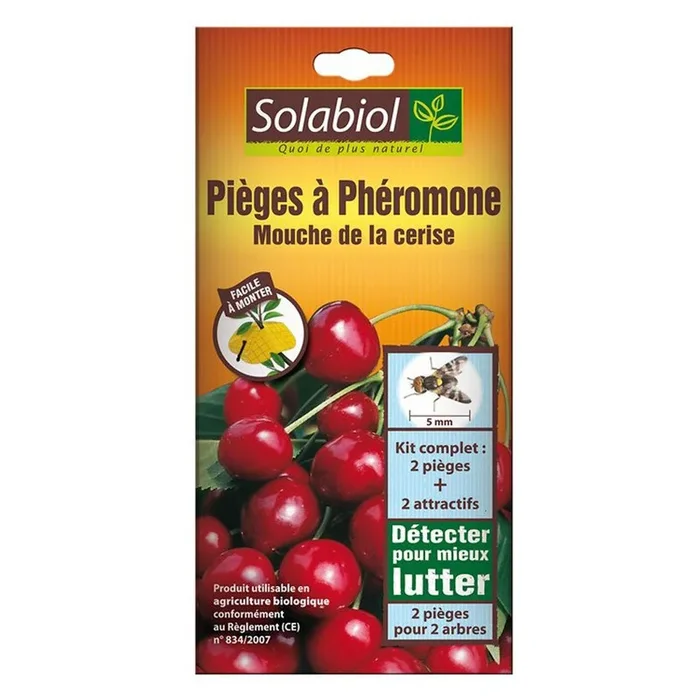 Solabiol – Pheromonfalle – Kirschfruchtfliege