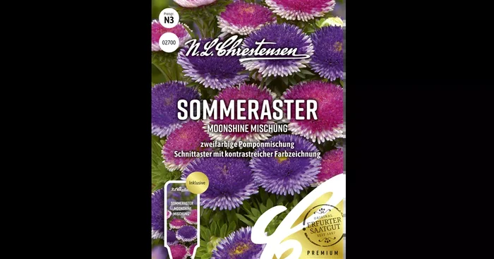 Somerastersamen ‚Moonshine Mischung‘