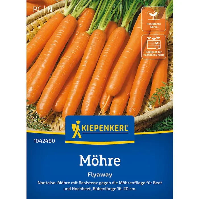 Sommer-Möhren ‚Flyaway, F1 Daucus carota ssp. sativus – Bestellnummer 9941637