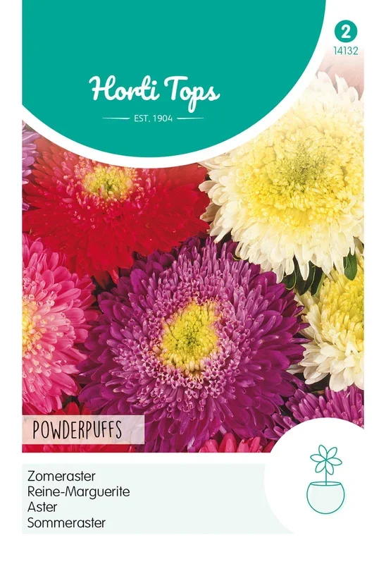 Sommeraster Powderpuffs [MHD 07/2024]