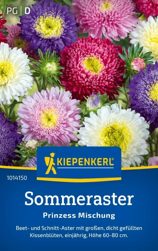 Sommeraster Prinzess Mischung, Beet- u. Schnittaster – große, dicht gefüllte Kissenblüten – 60-80 cm
