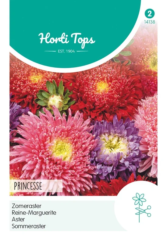 Sommeraster Riesen Prinzessin [MHD 07/2024]