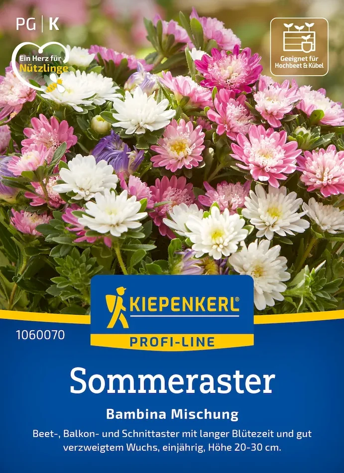 Sommerastersamen Bambina Mischung