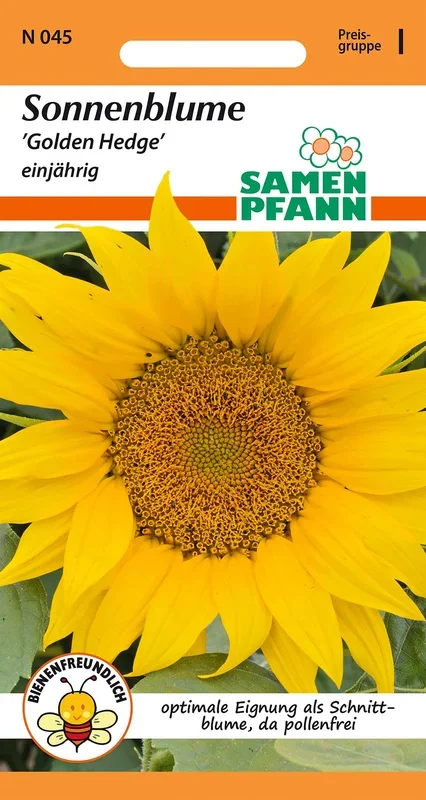 Sonnenblume Golden Hedge [MHD 01/2026]