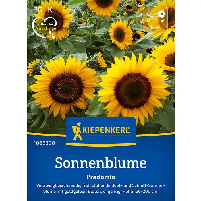 Sonnenblume Pradomio Helianthus annuus – Bestellnummer 9944901