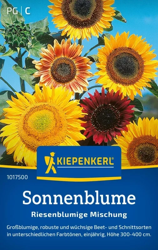 Sonnenblume Riesenblumige Mischung, robuste Beet- und Schnittsorte, Höhe 300-400 cm, Kiepenkerl