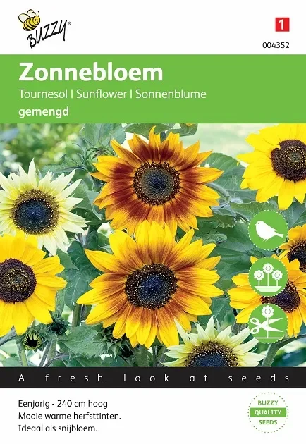 Sonnenblume Samen Gemischt