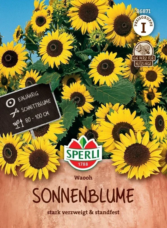 Sonnenblume Waooh, stark verzweigt, standfeste Schnittblume, ideal für Kübel, Nektarspender