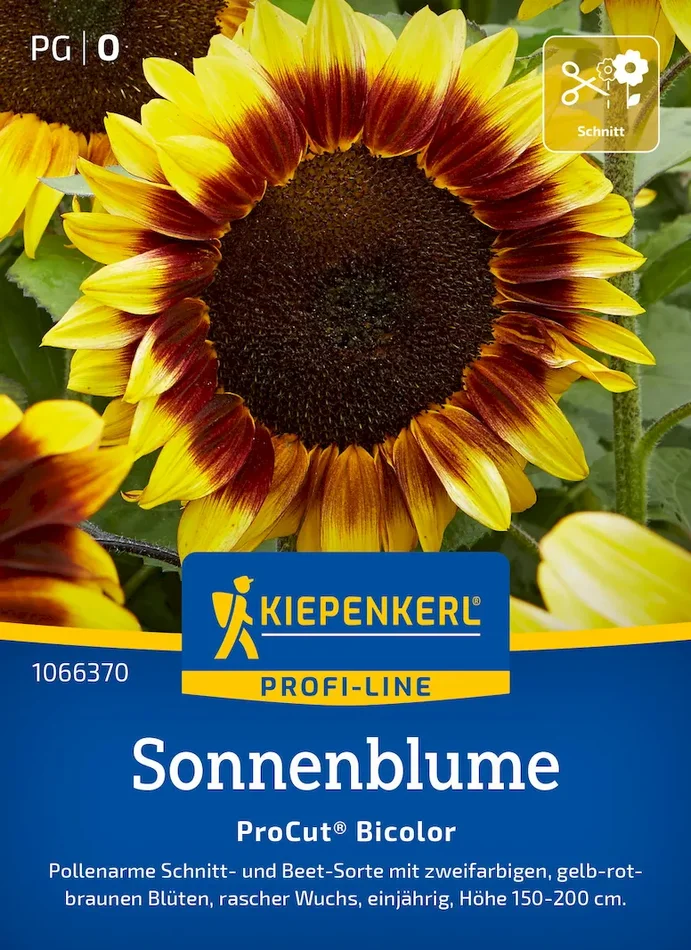 Sonnenblumensamen Pro Cut Bicolor, F1
