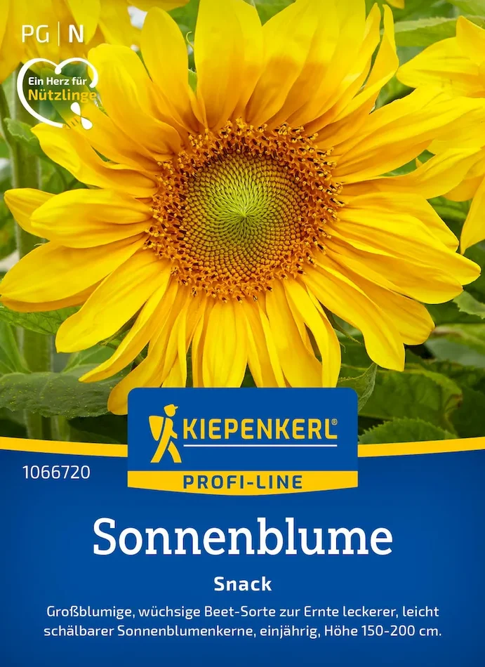 Sonnenblumensamen Snack