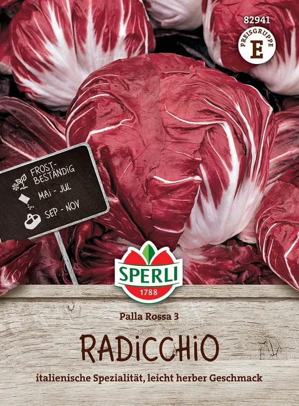 SPERLI’s Radicchio-Samen ‚Palla Rossa 3‘