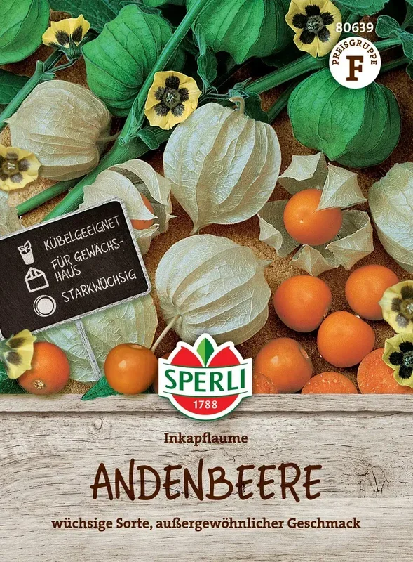 Sperli Andenbeere Inkapflaume