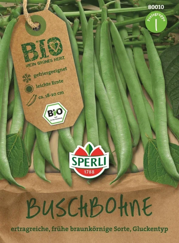 Sperli Buschbohne grün Gluckentyp, BIO Gemüsesamen, fadenlos, mehrfache Ernte, nicht rankend