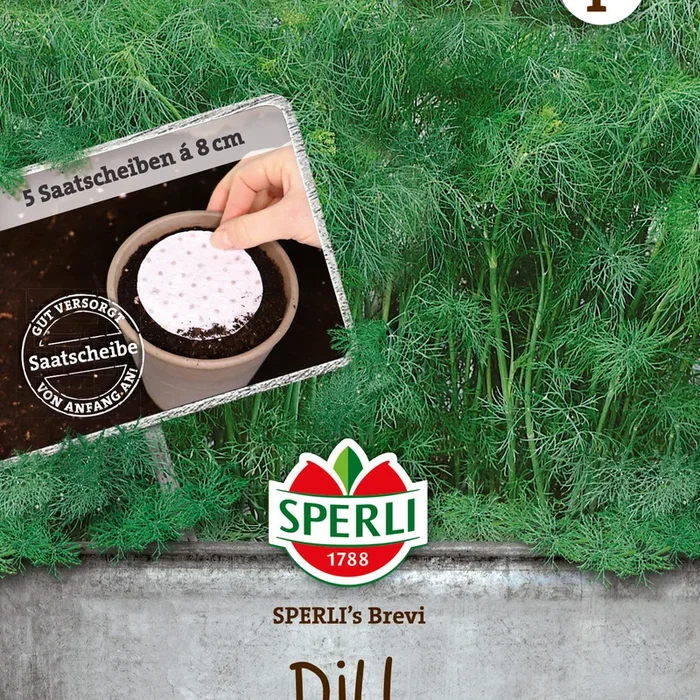 SPERLI Dill SPERLI’s Brevi Saatscheibe