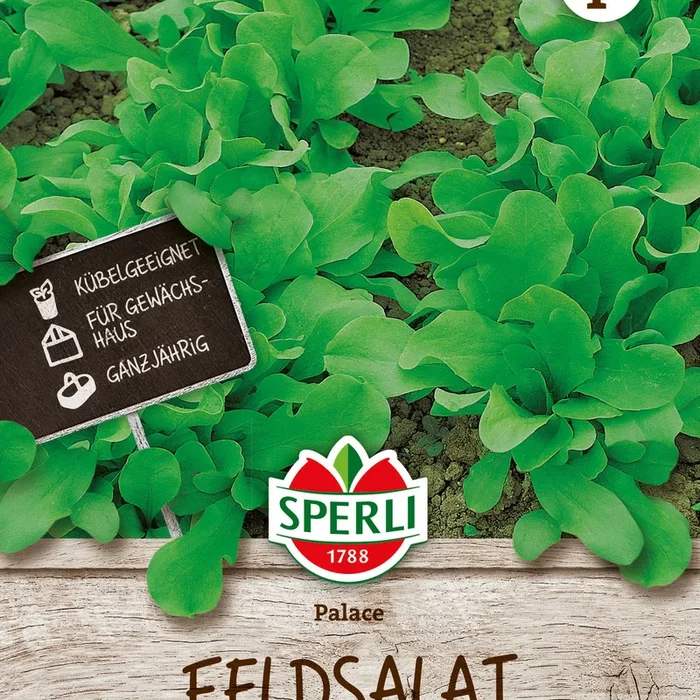 SPERLI Feldsalat Palace