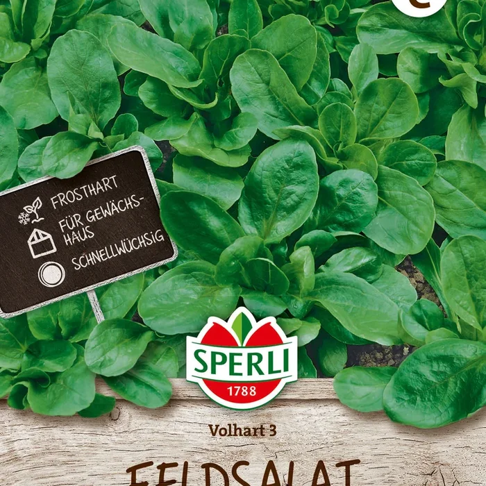 SPERLI Feldsalat Volhart 3